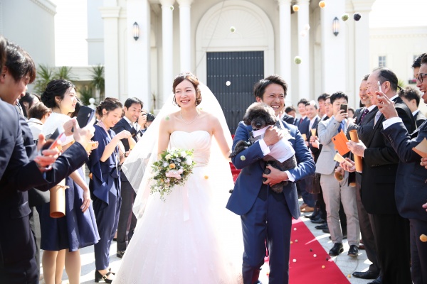 年内での結婚式をお考えのお二人へ❤