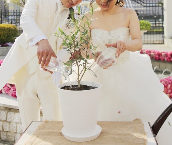 新潟市結婚式場　ブレストン　アフターセレモニー　植樹の儀　セレモニー　オリーブの木　オリーブ　ナチュラル　演出