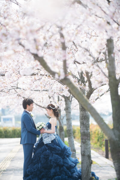 新潟市結婚式場　ブレストン　前撮り　桜　信濃川　万代テラス　桜前撮り