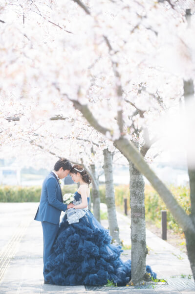 新潟市結婚式場　ブレストン　前撮り　桜　信濃川　万代テラス　桜前撮り