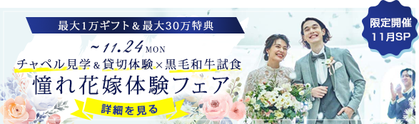 2025年11月特集フェア